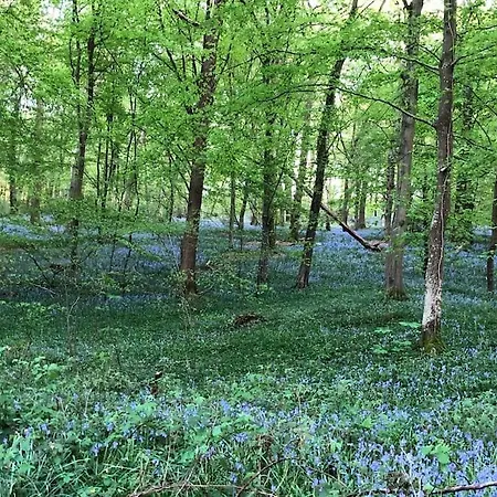 Appartamento Elen's At The Bucorde *