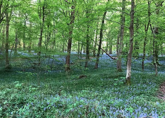 Apartment Elen's At The Bucorde *